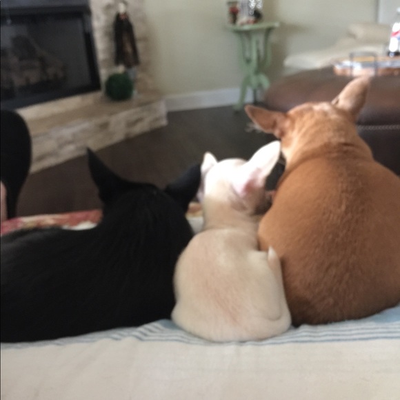 Meet your Posher, Bruce - Picture 6 of 12